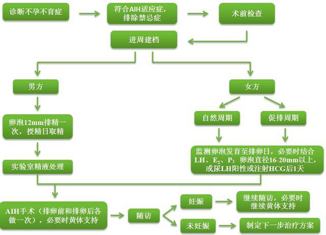 人工授精步骤图解图片