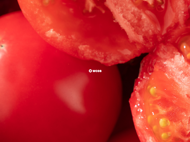 不同制作工艺的番茄红素价格有差异