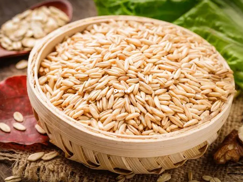 燕麦是一种常见的健康食品