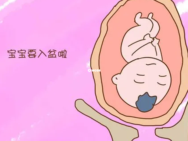 宝宝入盆是临产前的数据信号