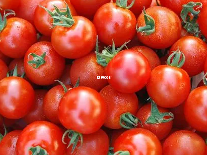 多吃番茄等偏碱性的食物可以增加生男宝的几率