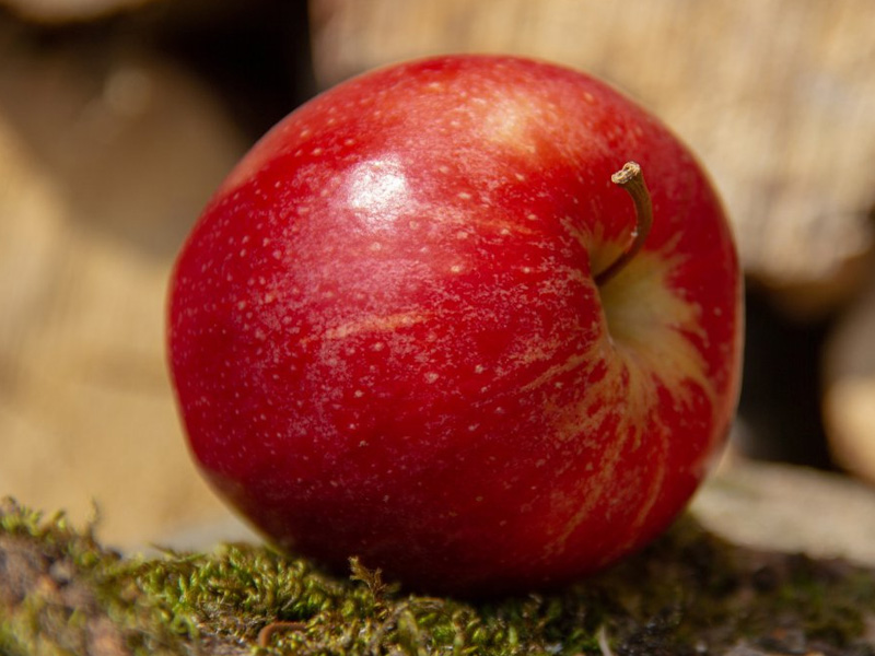 苹果可以降血脂