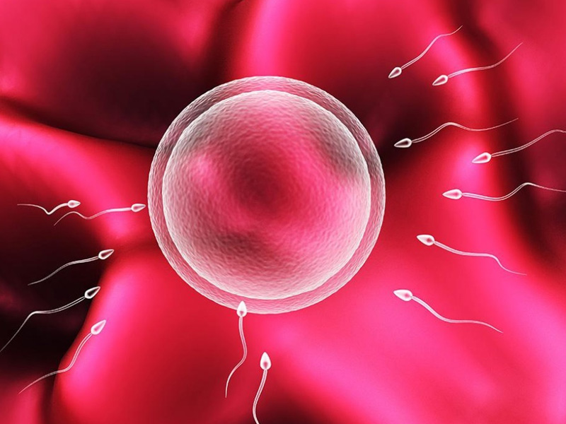 3pn胚胎一般不可用于移植