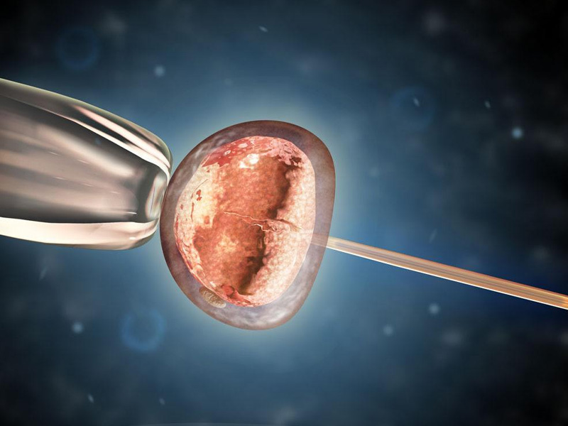 养囊需要优质的胚胎
