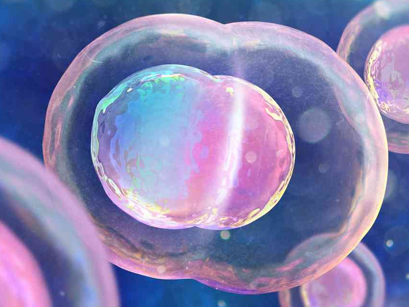 鲜胚移植不着床可能是激素不稳定