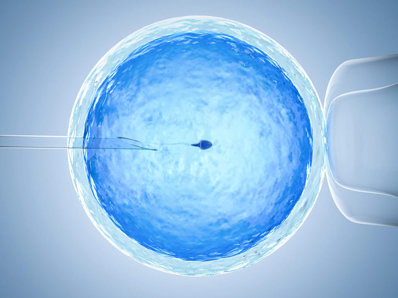 胚胎质量不好会导致鲜胚移植失败