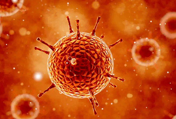 以前感染过巨细胞病毒是可以怀孕的
