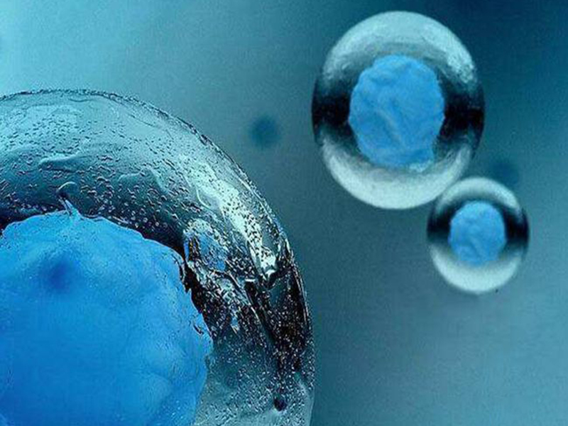 自然周期冻胚移植成功率