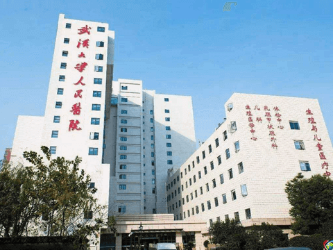 湖北省人民医院